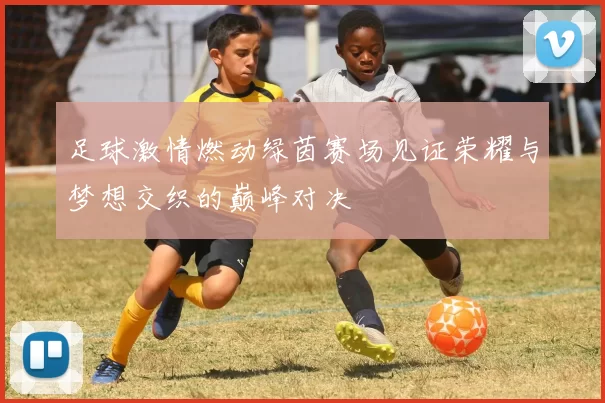 足球激情燃动绿茵赛场见证荣耀与梦想交织的巅峰对决