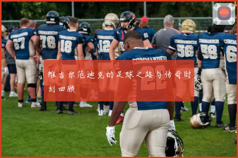 维吉尔范迪克的足球之路与传奇时刻回顾