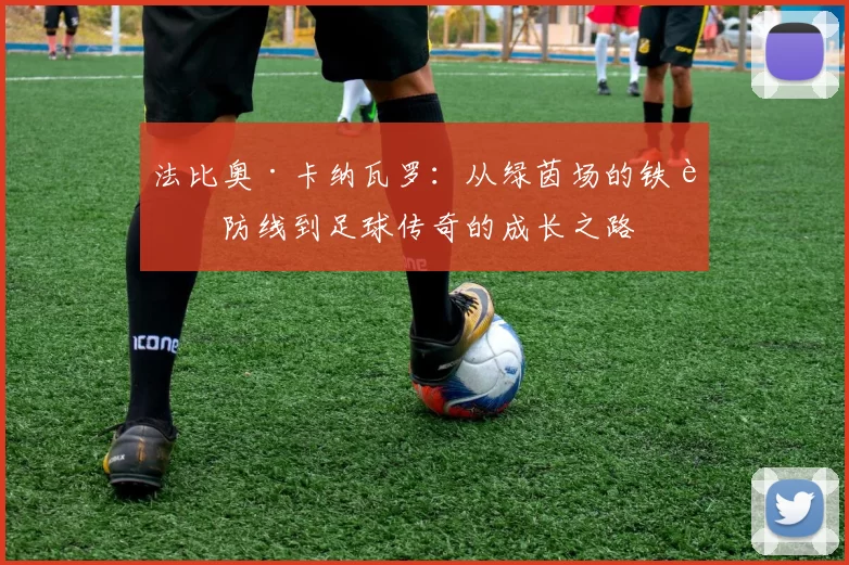 法比奥·卡纳瓦罗：从绿茵场的铁血防线到足球传奇的成长之路