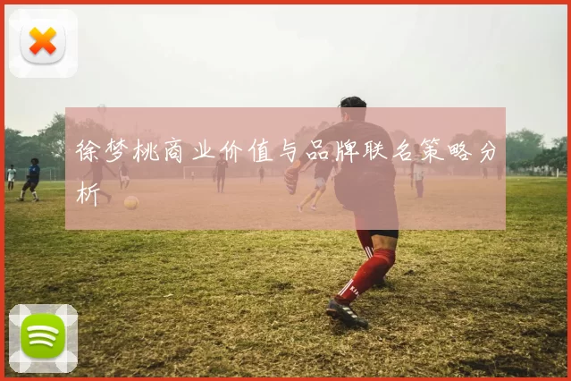 徐梦桃商业价值与品牌联名策略分析