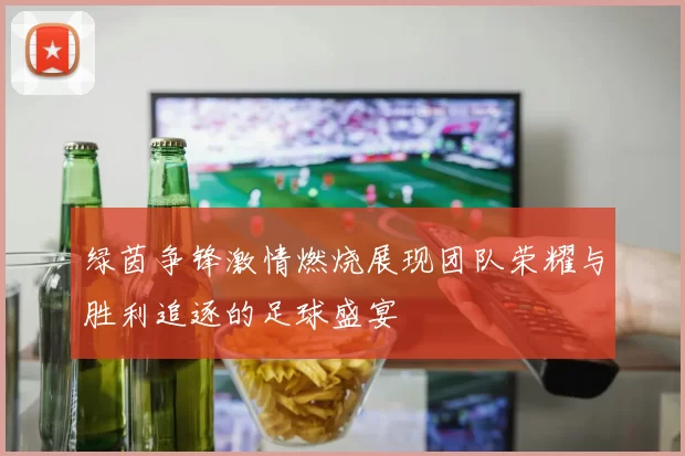 绿茵争锋激情燃烧展现团队荣耀与胜利追逐的足球盛宴