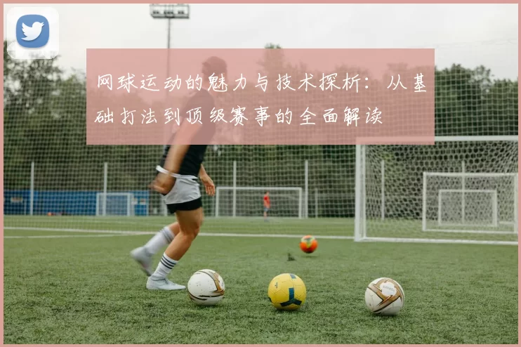 网球运动的魅力与技术探析：从基础打法到顶级赛事的全面解读