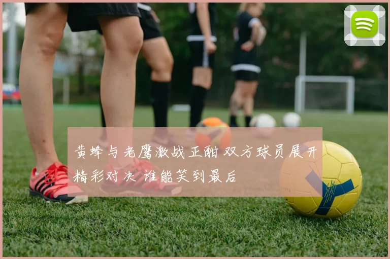 黄蜂与老鹰激战正酣 双方球员展开精彩对决 谁能笑到最后