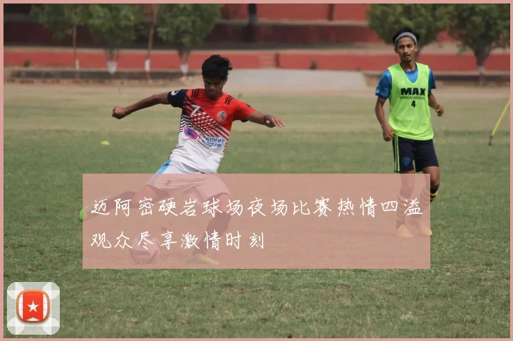 迈阿密硬岩球场夜场比赛热情四溢观众尽享激情时刻